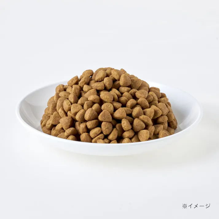 スマイリア 鶏肉と玄米のぜいたく素材ごはん 1kg 成犬用