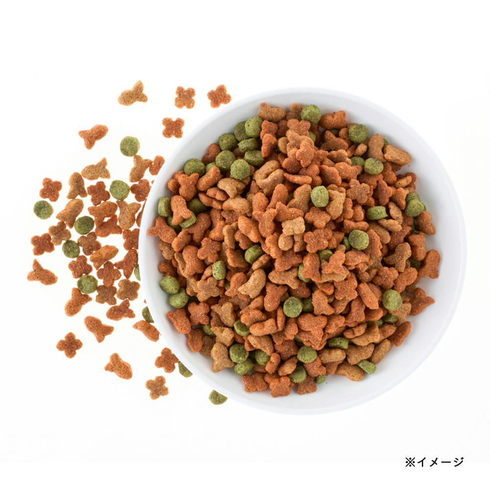 ドッグミール ミックス 成犬用 7.2kg | ドッグフード 通販