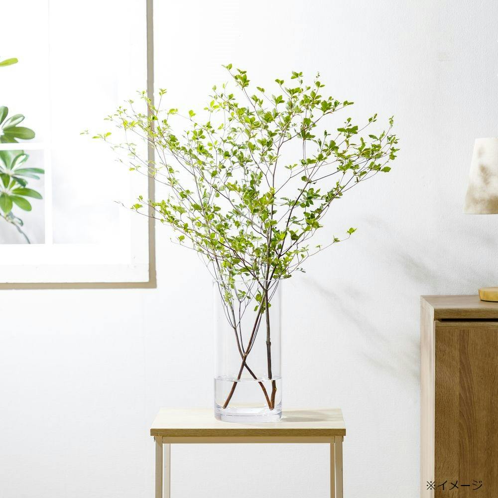 カインズ 割れにくいポリカ花瓶 丸型 幅15×高さ30cm 1530 | 花