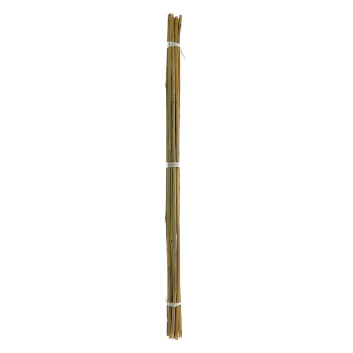 天然細竹支柱 90cm 10本