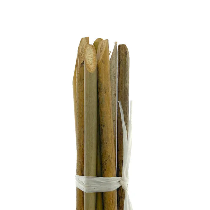 天然細竹支柱 180cm 10本