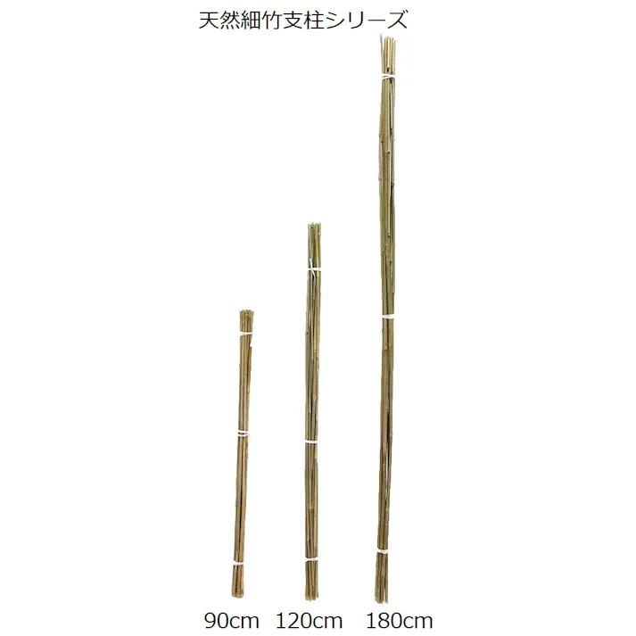 天然細竹支柱 180cm 10本