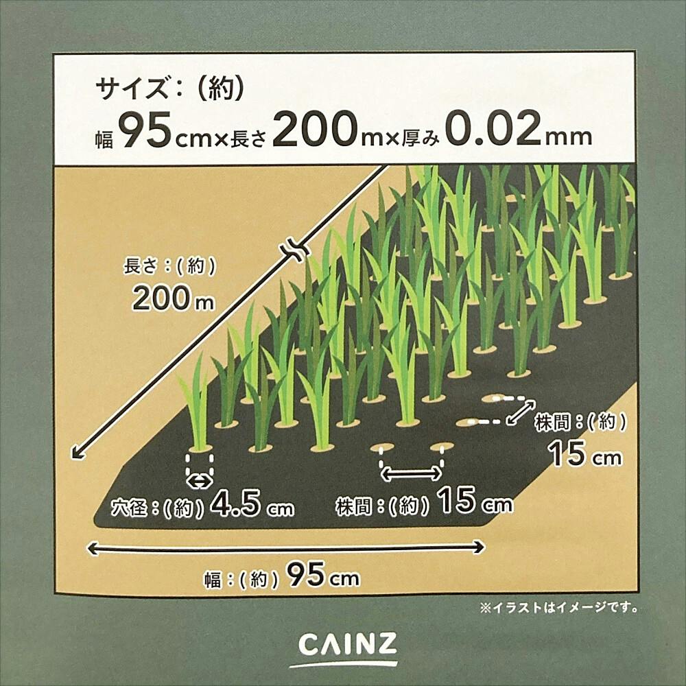 穴あきマルチ 9515 200m | 被覆資材 通販 | ホームセンターの