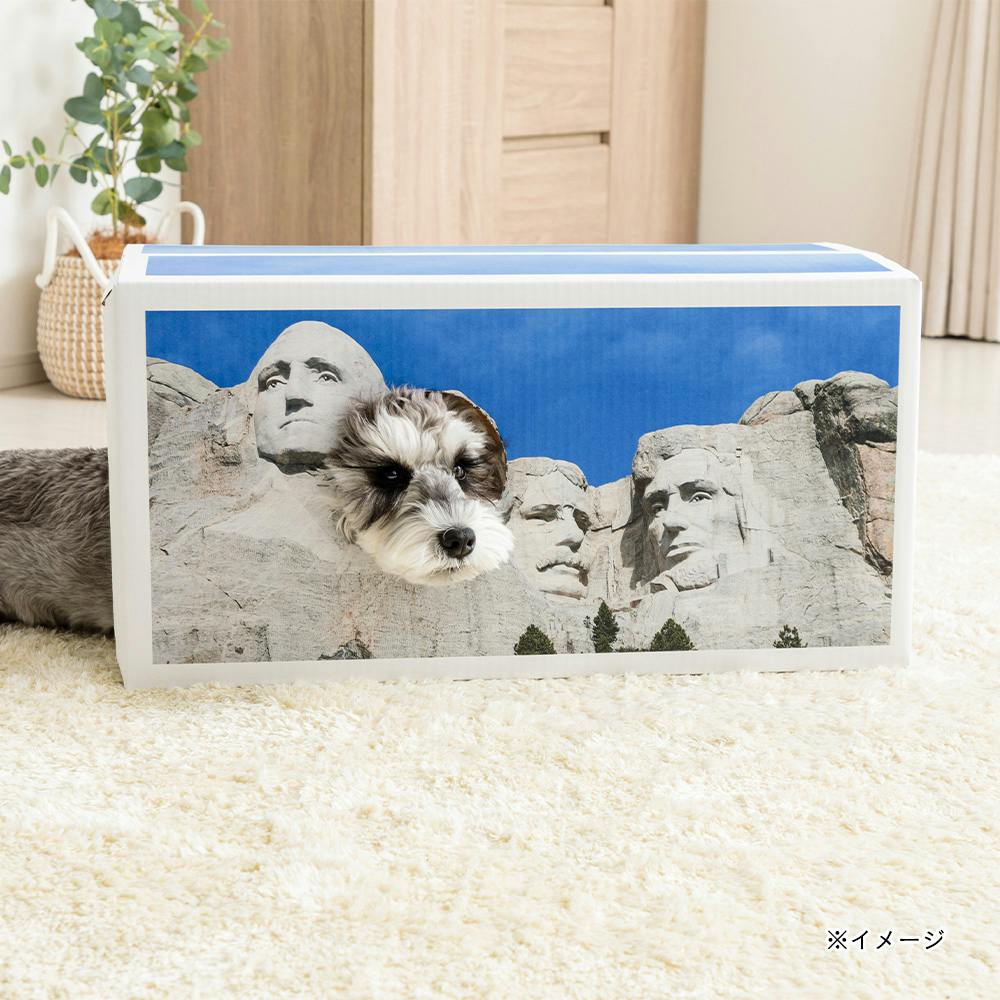 HONEST様♡専用ページです♡ Yamada Show | GOOD MORNING FAN's | Instagram