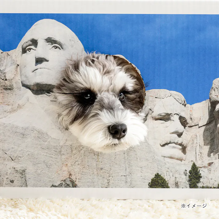 薄型ペットシーツ スーパーワイド 春デザインケース