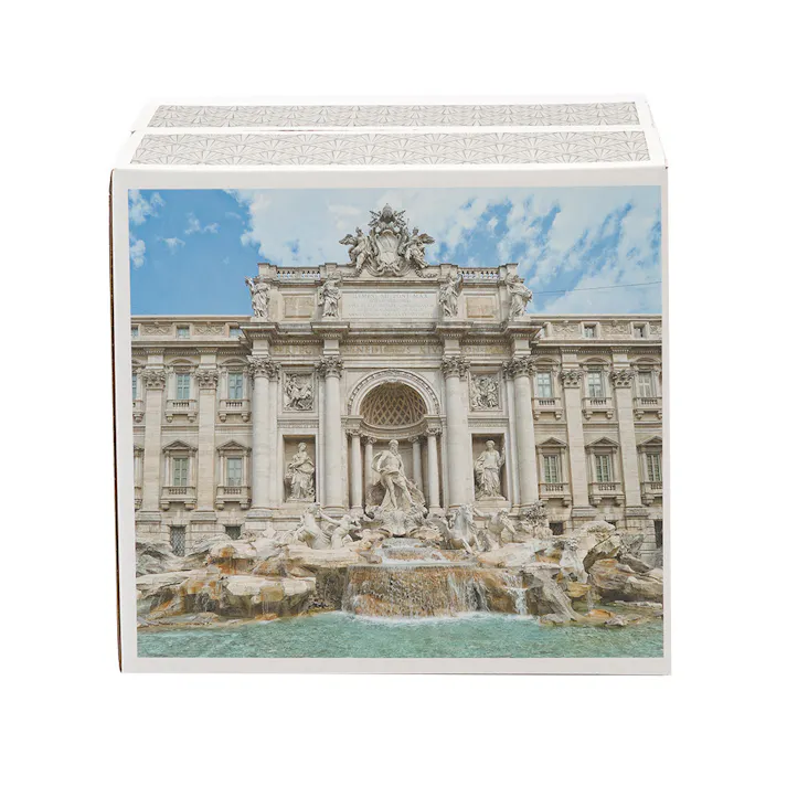 薄型ペットシーツ レギュラー 夏デザインケース