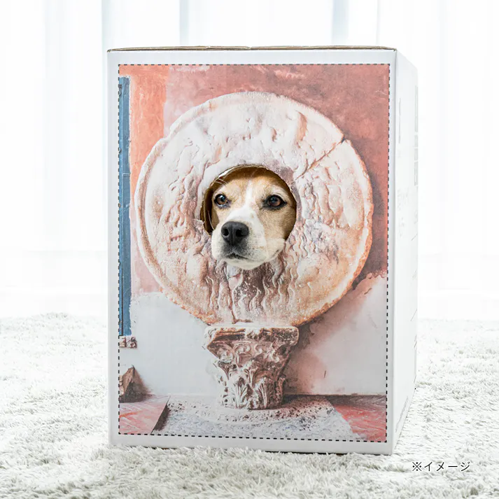 薄型ペットシーツ レギュラー 夏デザインケース