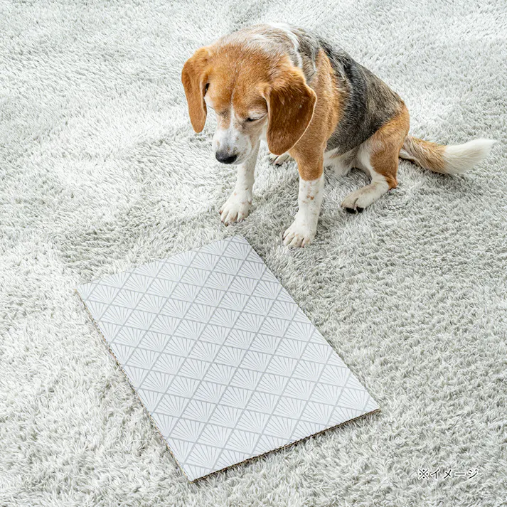 薄型ペットシーツ レギュラー 夏デザインケース