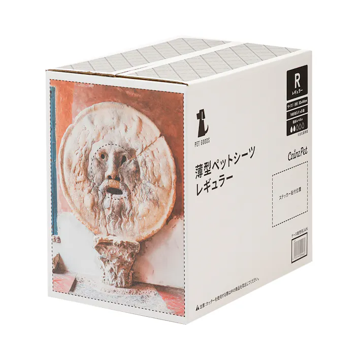 薄型ペットシーツ レギュラー 夏デザインケース