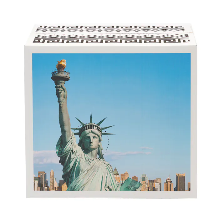 薄型ペットシーツ ワイド 夏デザインケース