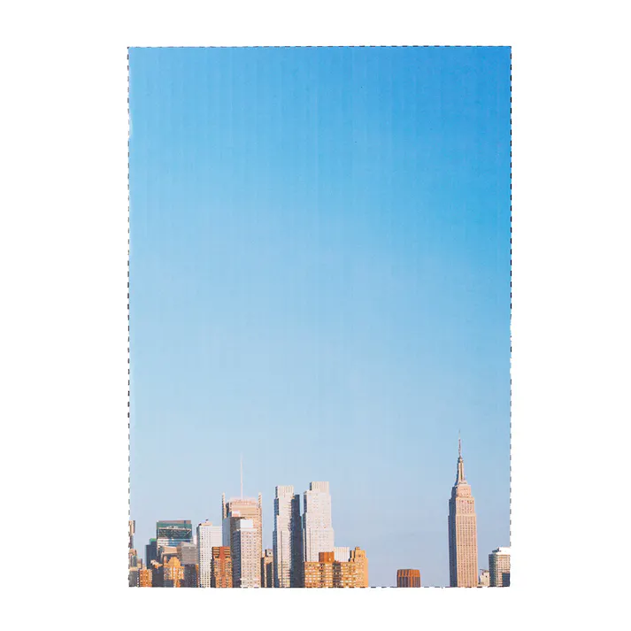 薄型ペットシーツ ワイド 夏デザインケース