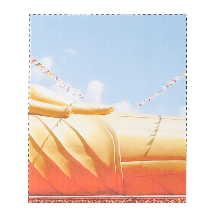 薄型ペットシーツ スーパーワイド 夏デザインケース