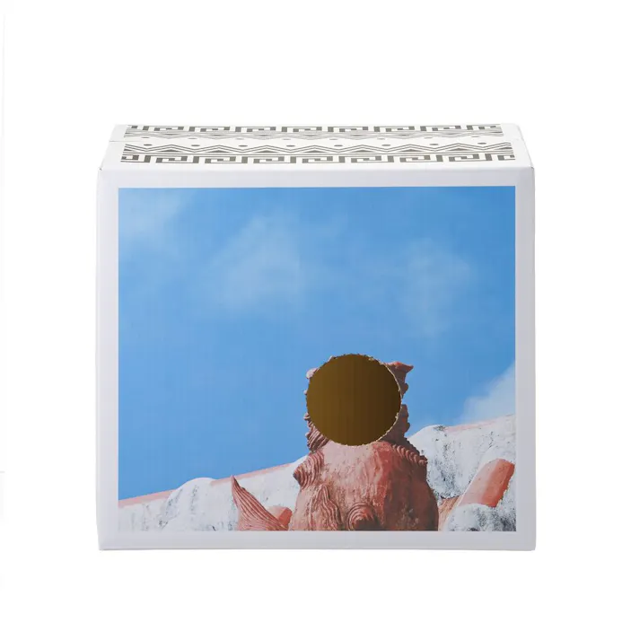 薄型ペットシーツ ワイド 秋デザインケース