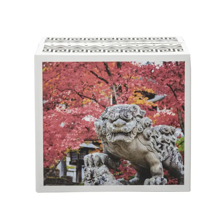 薄型ペットシーツ ワイド わん祭りデザインケース