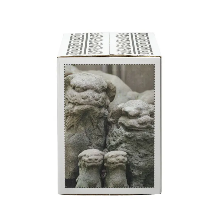 薄型ペットシーツ ワイド わん祭りデザインケース