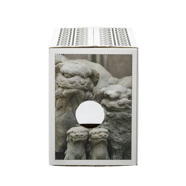 薄型ペットシーツ ワイド わん祭りデザインケース