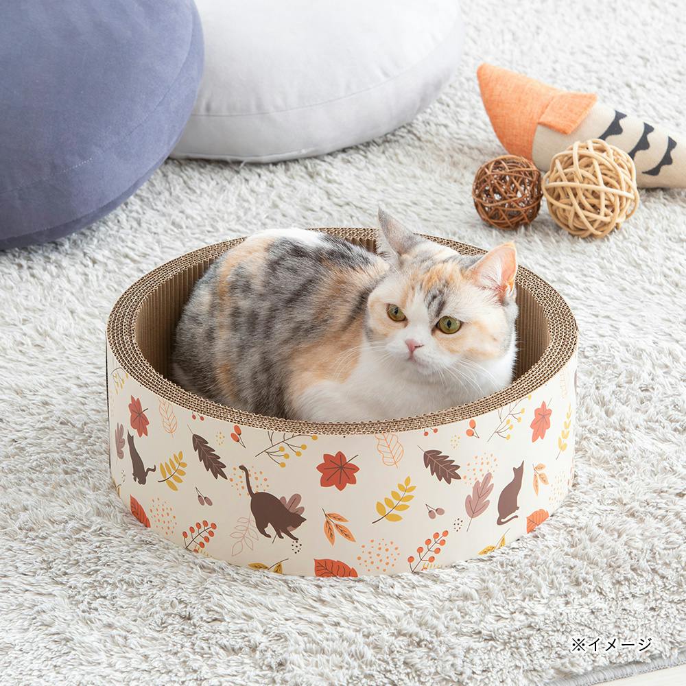サークルスクラッチャー 落ち葉 | ペット用品（猫） 通販