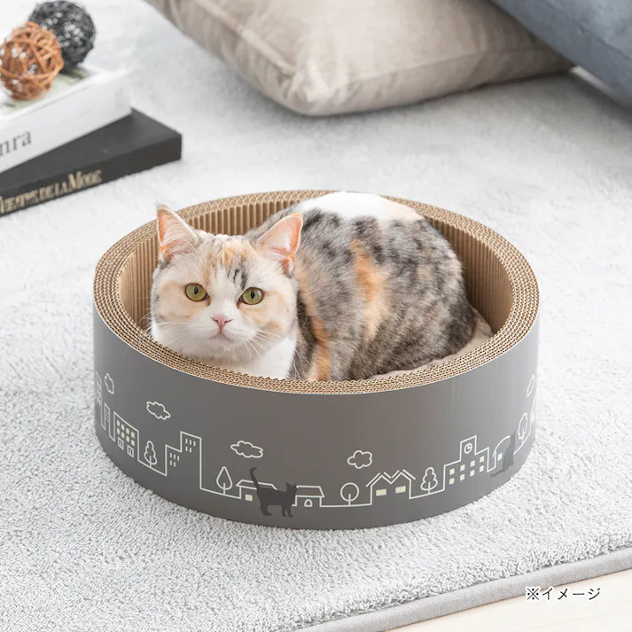 サークルスクラッチャー ナイト