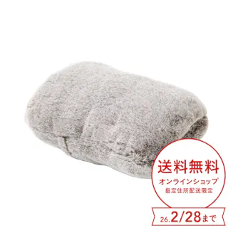 カインズ 蓄熱式湯たんぽ ブラウン CZ-TY4-BR