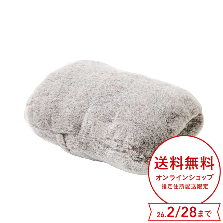 カインズ 蓄熱式湯たんぽ ブラウン CZ-TY4-BR