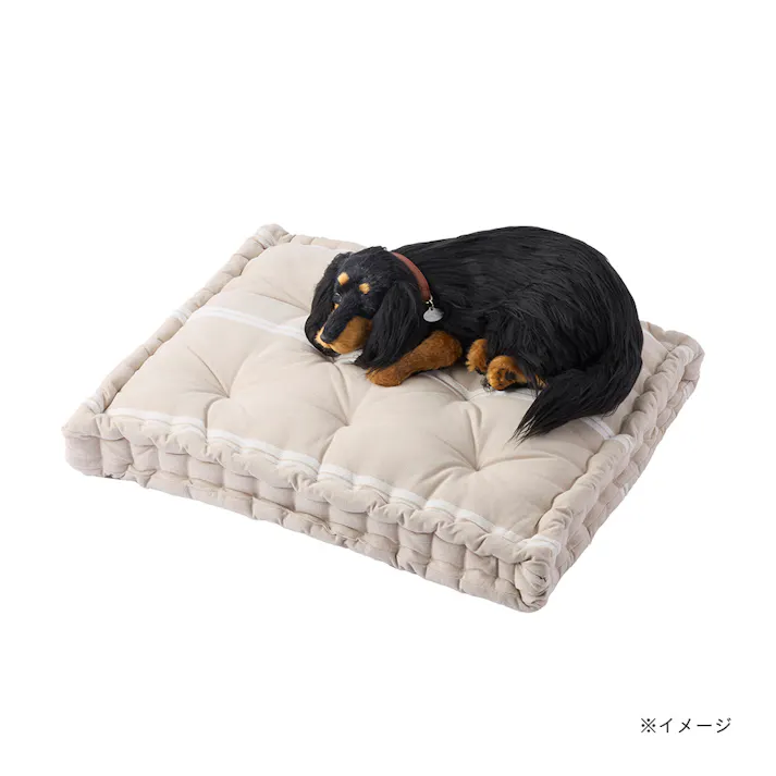 さらっとした手触りのインド綿スクエアペットベッド 50×60cm ラインベージュ