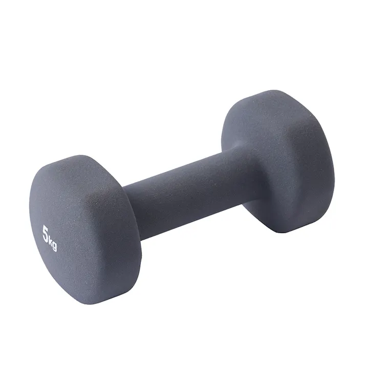 カインズ ダンベル 5kg ブラック