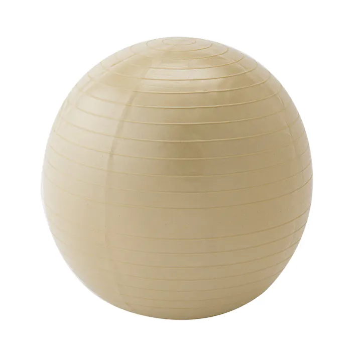 カインズ バランスボール 55cm ベージュ