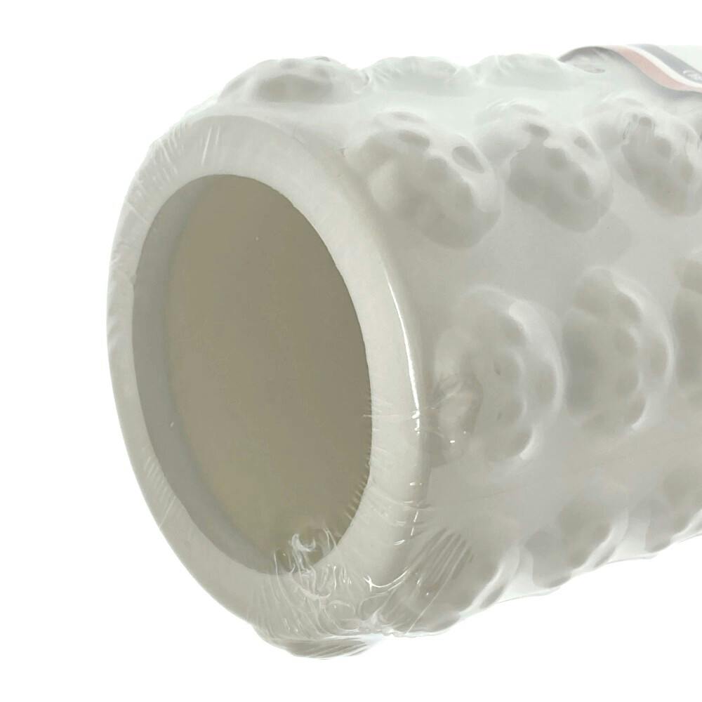 カインズ フォームヨガローラー ニクキュウ | その他 トレーニング