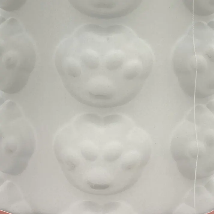 カインズ フォームヨガローラー ニクキュウ