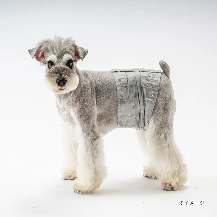 マナーデザインウェア 男の子用 Mサイズ 42枚入