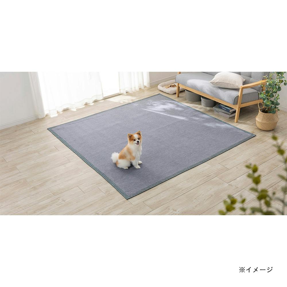 ラグのおすすめ商品一覧｜ホームセンターのカインズ