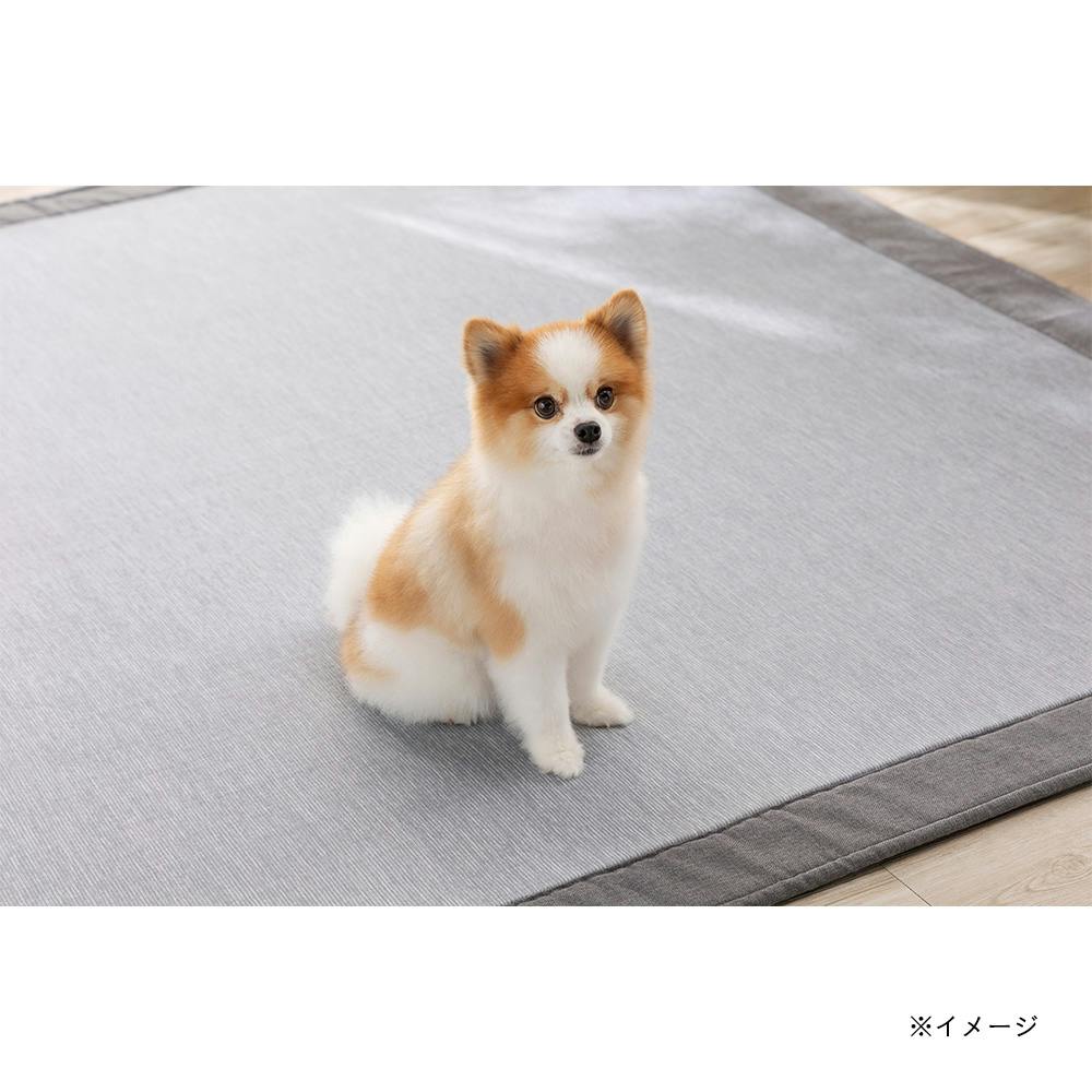 ＆Pet ウルトラデオクールラグ fwaat グレー 190×240cm | ラグ