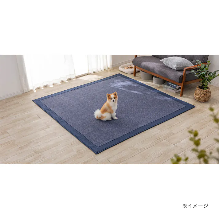 &Pet ウルトラデオクールラグ fwaat ネイビー 185×185cm