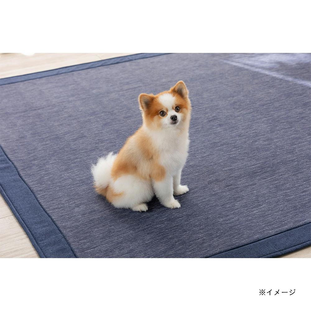 ＆Pet ウルトラデオクールラグ fwaat ネイビー 190×240cm | ラグ