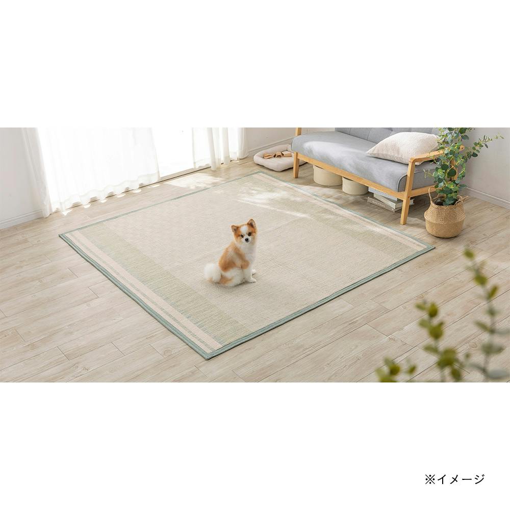同色２点 定価11960　洗えるラグ 200cm×240cm 4550596111698_07.jpg