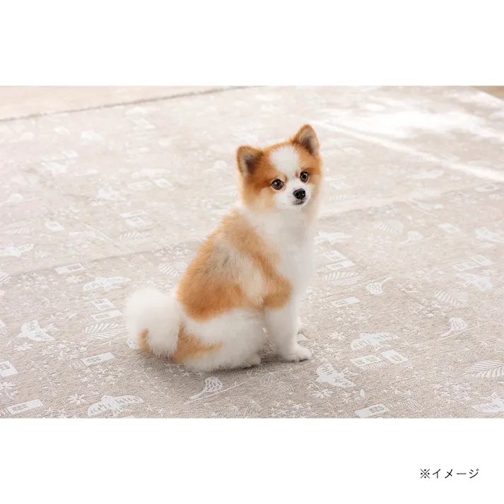 &Pet 撥水洗えるラグ ウィンディア 185×185cm