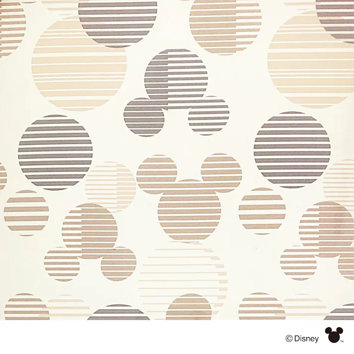 カインズ 軽くて割れにくいポスターフレーム アルミ枠 A4サイズ ミッキーマウス