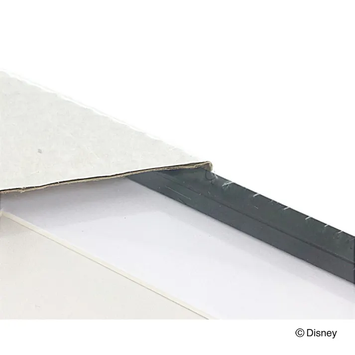 カインズ 軽くて割れにくいポスターフレーム ブラック A4サイズ ミッキーマウス