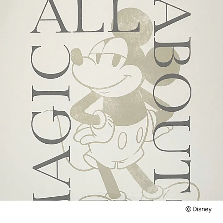 カインズ 軽くて割れにくいポスターフレーム ブラック A4サイズ ミッキーマウス