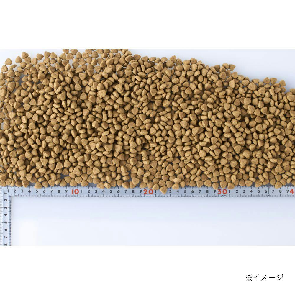 スマイリア 牛肉と玄米のぜいたく素材ごはん 1kg 成犬用