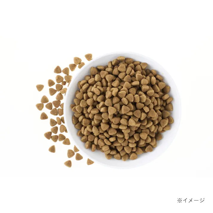 スマイリア 牛肉と玄米のぜいたく素材ごはん 3kg 成犬用