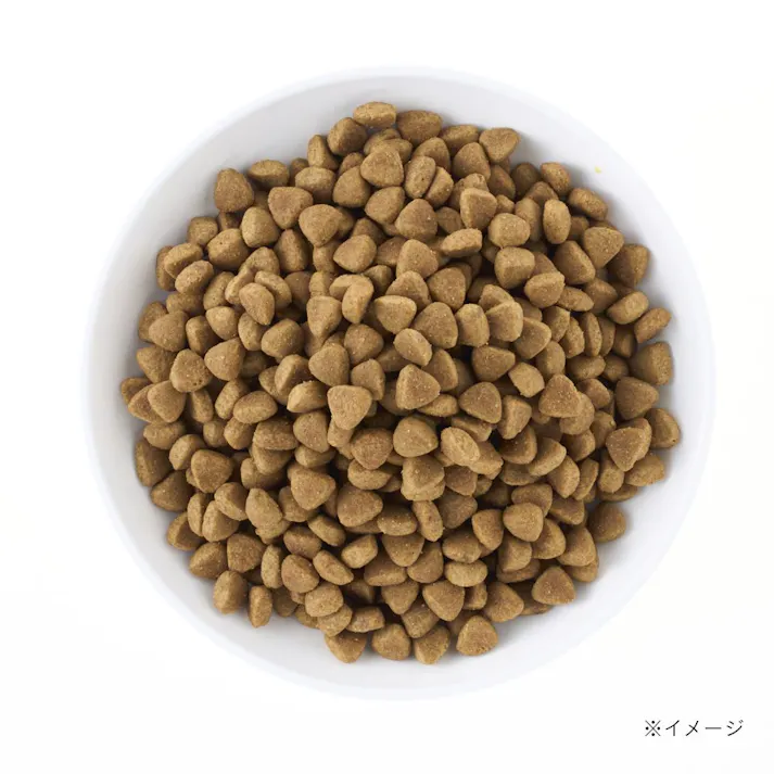 スマイリア 牛肉と玄米のぜいたく素材ごはん 3kg 成犬用