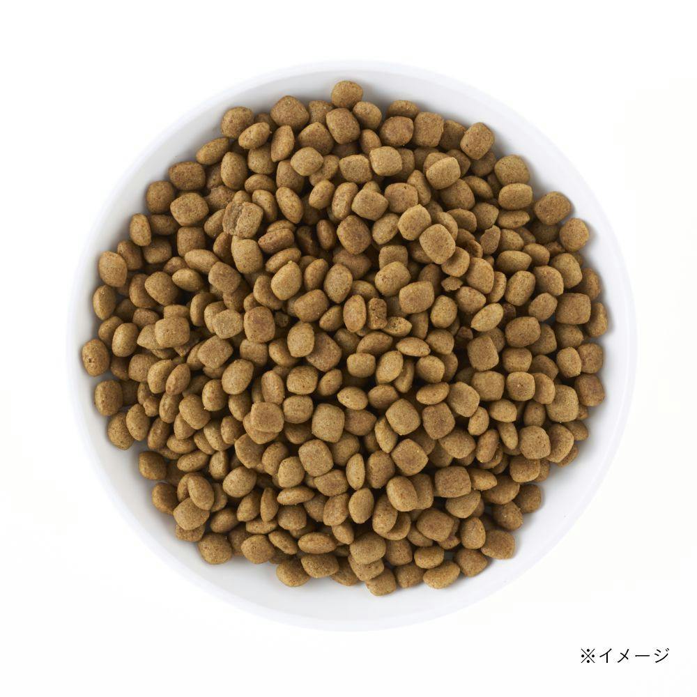 ドッグフード SSA Amazon.co.jp: ニュートリエンス サブゼロ カナディアン