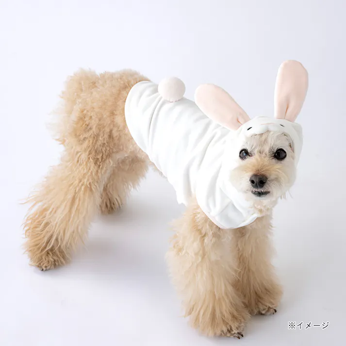 【送料無料】わんぐるみん うさぎ Mサイズ ペット服(犬の服)