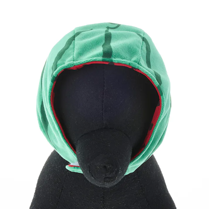 【送料無料】わんぐるみん帽子 スイカサイズ ペット服(犬の服)