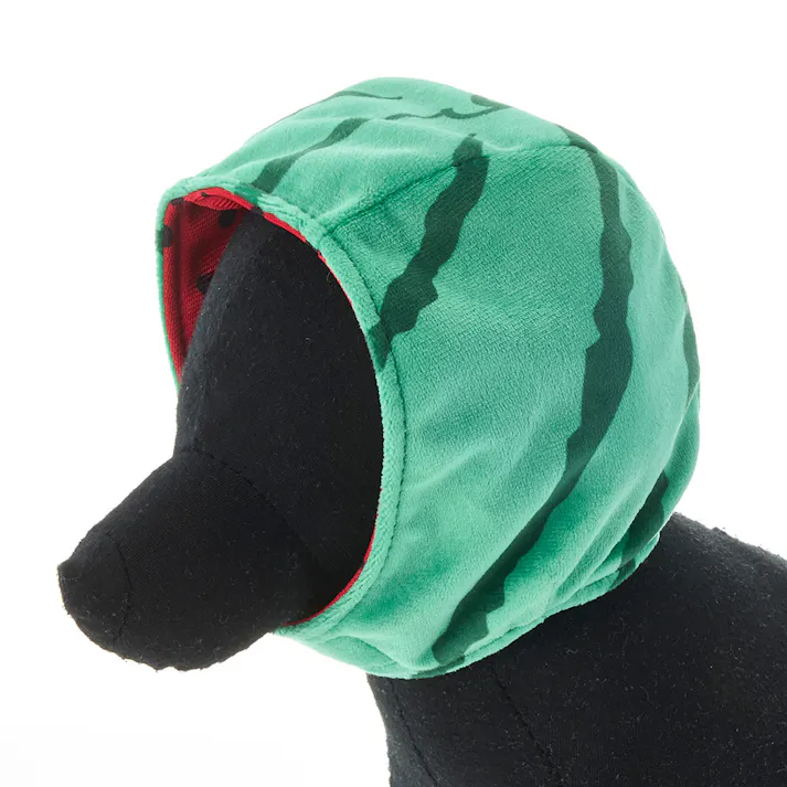 【送料無料】わんぐるみん帽子 スイカサイズ ペット服(犬の服)