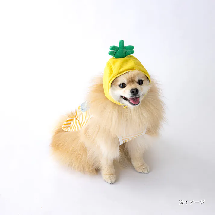 【送料無料】わんぐるみん帽子 パイナップルサイズ ペット服(犬の服)