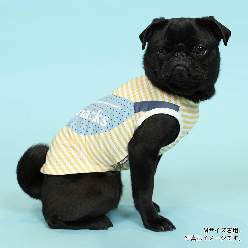 イエロー メッシュ犬服 Mサイズ 冷感メッシュ素材使用 ロゴプリントカットソー イエロー MD