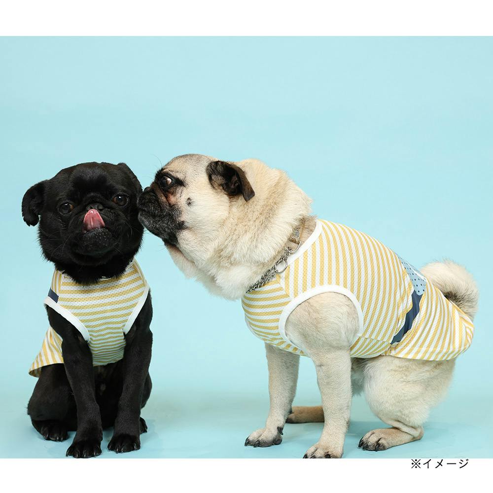 ハルミック●犬服●ハンドメイド 胴45NO.685 ハルミック様専用○犬服○ハンドメイド 胴45NO.685