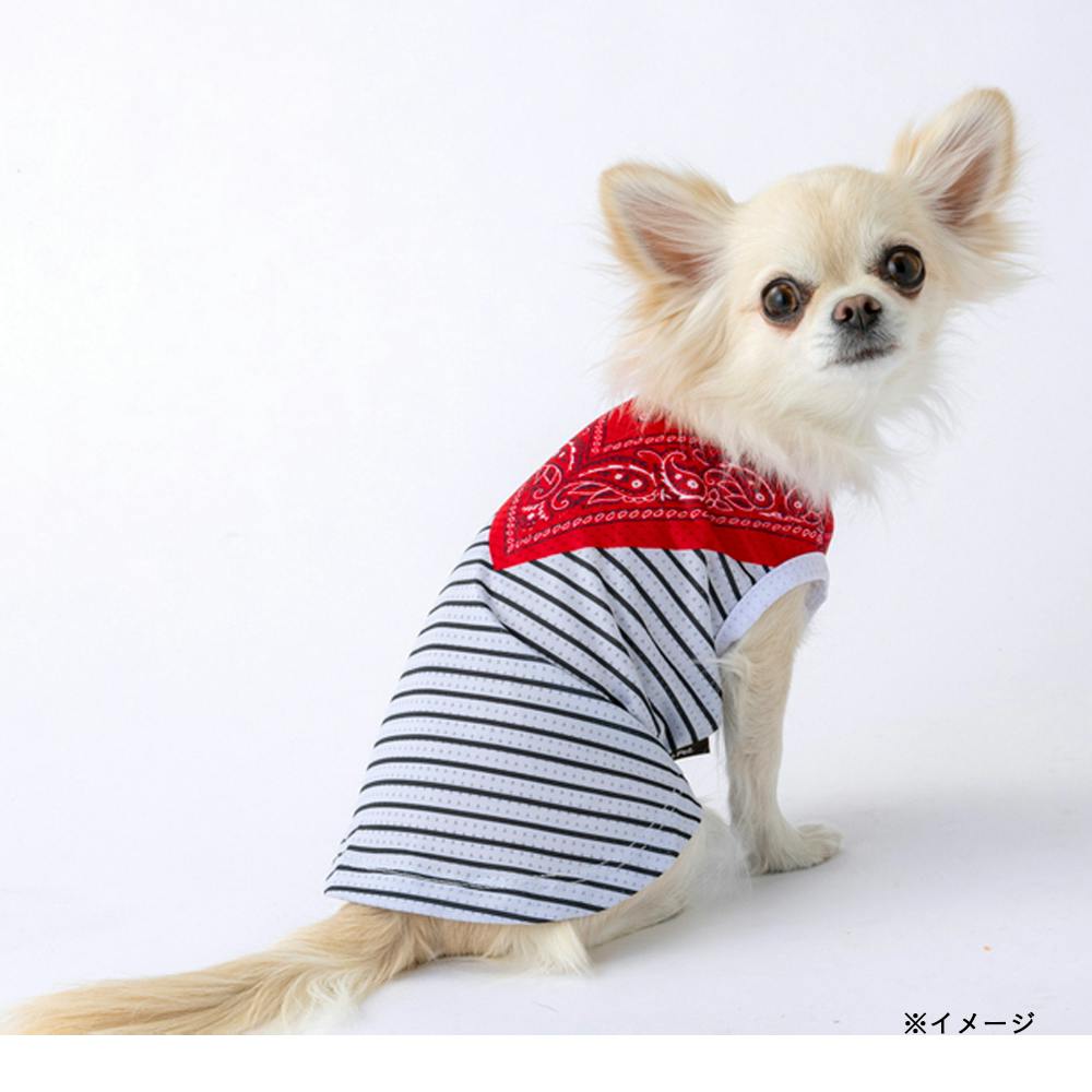 送料無料】接触冷感ひんやりメッシュバンダナ風ボーダー Sサイズ